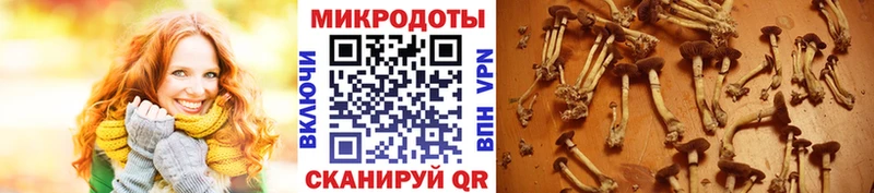 ОМГ ОМГ   сколько стоит  Салават  Галлюциногенные грибы мухоморы 