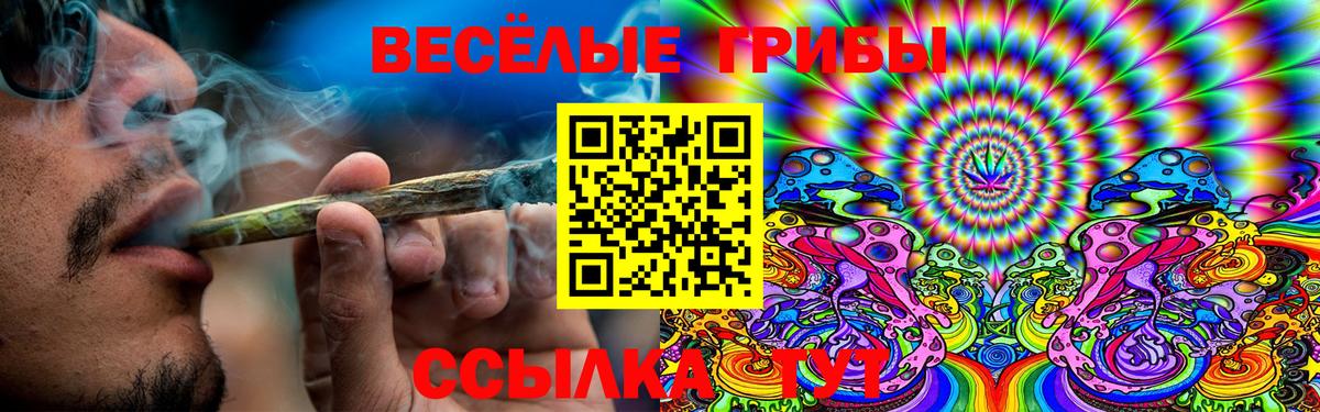 Галлюциногенные грибы прущие грибы  Галлюциногенные грибы Psilocybe  Вход с VPN  Салават 
