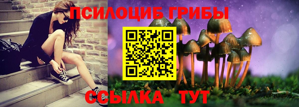 Псилоцибиновые грибы MAGIC MUSHROOMS Салават
