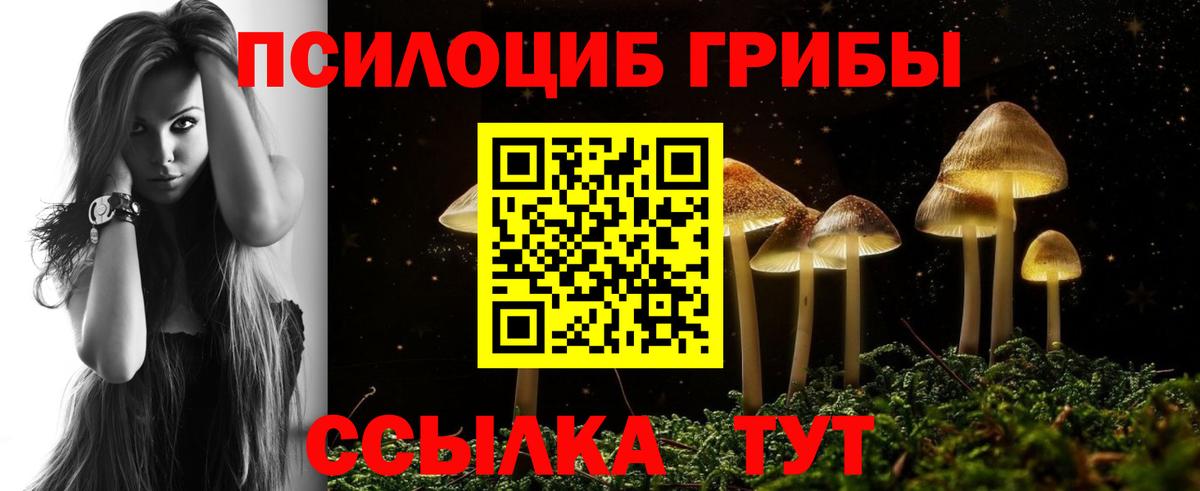 Псилоцибиновые грибы Cubensis Салават